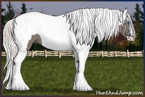 Horse Color:Grullo Splash and Silver Grullo Splash Appaloosa