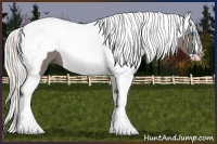Horse Color:Grullo Splash  and Silver Grullo Splash Appaloosa 
