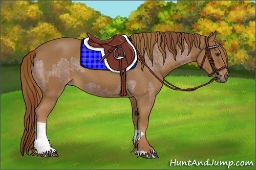 Horse Color:Red Roan  and Red Roan 