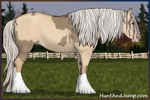 Horse Color:Silver Grullo and Silver Classic Champagne Dun