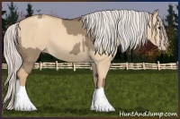 Horse Color:Silver Grullo and Silver Classic Champagne Dun