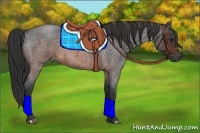 Horse Color:Brown Roan