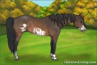Horse Color:Brown  and Brown Frame 