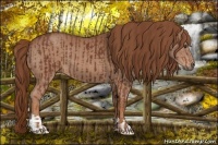 Horse Color:Chestnut and Chestnut