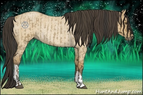 Horse Color:Buckskin Roan Dun  and Buckskin Roan Dun Rabicano 