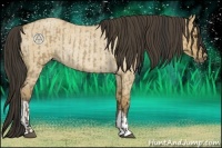 Horse Color:Buckskin Roan Dun  and Buckskin Roan Dun Rabicano 