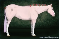 Horse Color:Watercolor Perlino Dun 