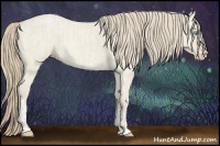 Horse Color:Smoky Creme Roan Dun and Smoky Creme Roan Dun