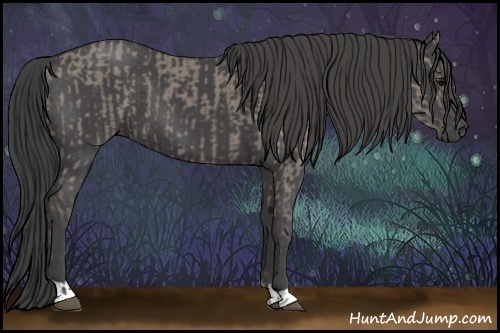 Horse Color:Smoky Grullo  and Smoky Black 