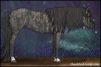 Horse Color:Smoky Grullo  and Smoky Black 