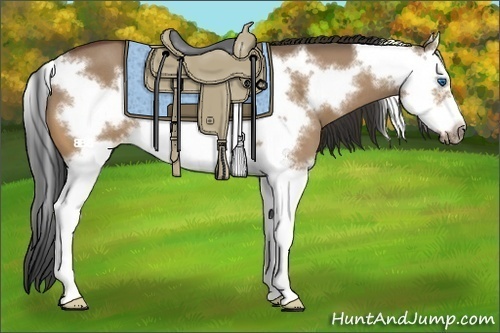 Horse Color:Bay Roan Dun Splash Frame 