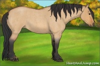 Horse Color:Bay Roan Dun 