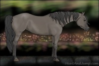 Horse Color:Smoky Grullo 