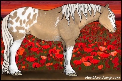 Horse Color:White Spotted Silver Buckskin Appaloosa 