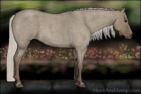 Horse Color:Silver Grullo Roan 