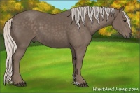 Horse Color:Silver Black 
