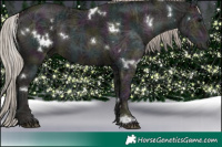 Horse Color:White Spotted Midnight Silver Black Ice