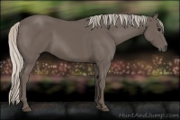 Horse Color:Silver Black 