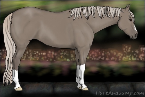 Horse Color:Silver Grullo 