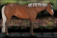 Horse Color:Silver Brown