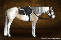 Horse Color:White Spotted Buckskin Dun Splash 