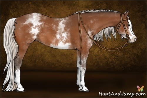 Horse Color:White Spotted Silver Bay Splash 