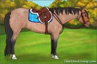 Horse Color:Bay Roan 
