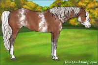 Horse Color:White Spotted Silver Brown Splash