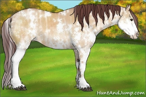 Horse Color:White Spotted Chocolate Bay Ice Dun Sabino Splash