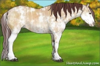 Horse Color:White Spotted Chocolate Bay Ice Dun Sabino Splash 