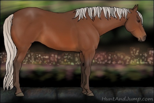 Horse Color:Silver Bay 