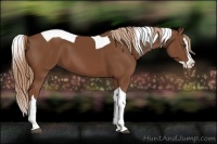 Horse Color:Chestnut Splash Tobiano