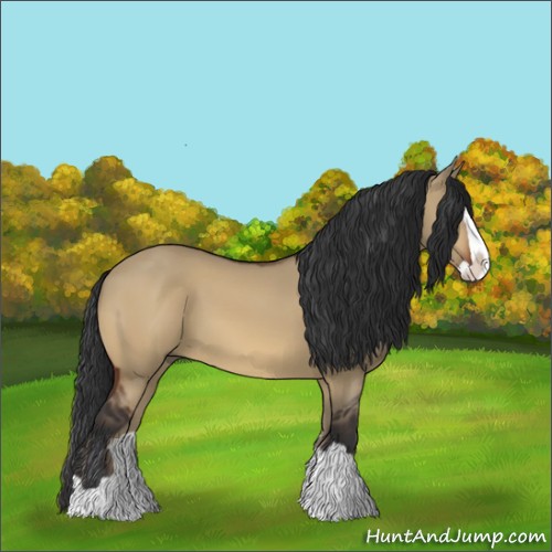 Horse Color:Bay Dun Splash