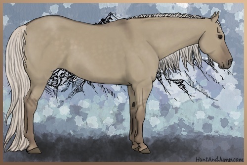 Horse Color:Silver Grullo 