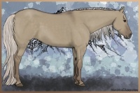 Horse Color:Silver Grullo 