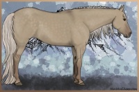 Horse Color:Silver Grullo