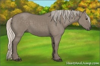 Horse Color:Silver Grullo 