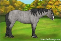 Horse Color:Grullo Roan Splash 