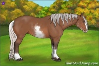 Horse Color:White Spotted Silver Bay Splash 