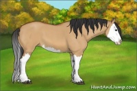 Horse Color:Bay Roan Dun Splash