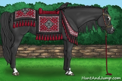 Horse Color:Black Sabino 