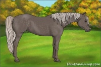 Horse Color:Silver Black 