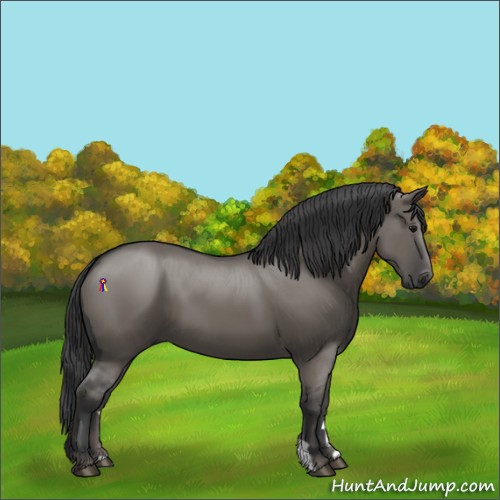 Horse Color:Smoky Grullo