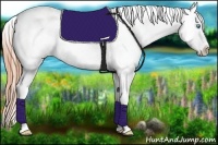 Horse Color:Buckskin Pearl Varnish
