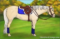 Horse Color:Silver Amber Cream Champagne
