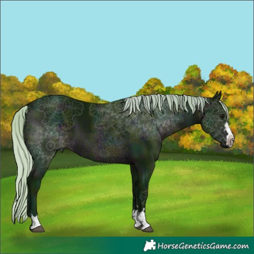 Horse Color:Watercolor Midnight Silver Brown 