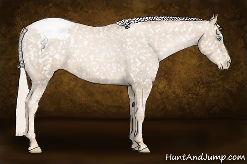 Horse Color:Palomino Pearl Snowcap