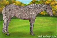Horse Color:Silver Brown Ice 