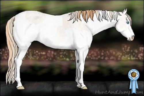Horse Color:Perlino Ice Sabino and Buckskin Ice Pearl Sabino