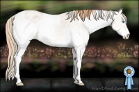 Horse Color:Perlino Ice Sabino  and Buckskin Ice Pearl Sabino 
